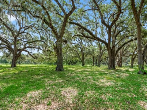 Tiny photo for 12 Cr 543, Bushnell, FL 33513 (MLS # TB8523193)