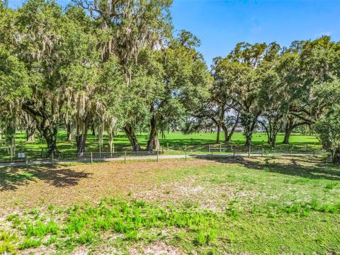 Tiny photo for 12 Cr 543, Bushnell, FL 33513 (MLS # TB8523193)