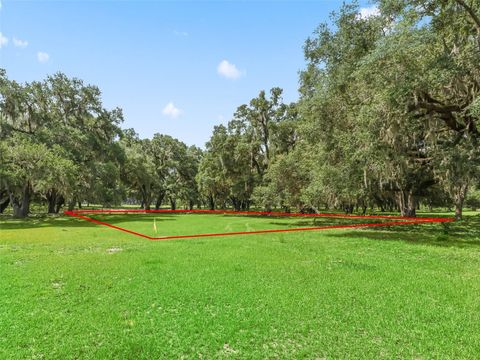 Tiny photo for 12 Cr 543, Bushnell, FL 33513 (MLS # TB8523193)
