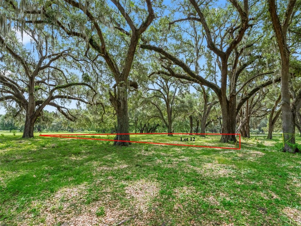 Photo of 12 Cr 543, Bushnell, FL 33513 (MLS # TB8523193)