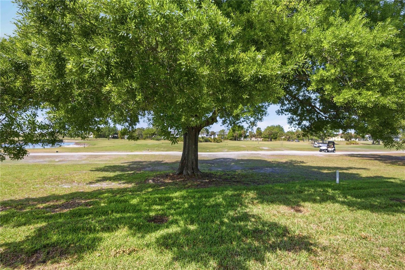 PUNTA GORDA ISLES SEC 23 - Residential