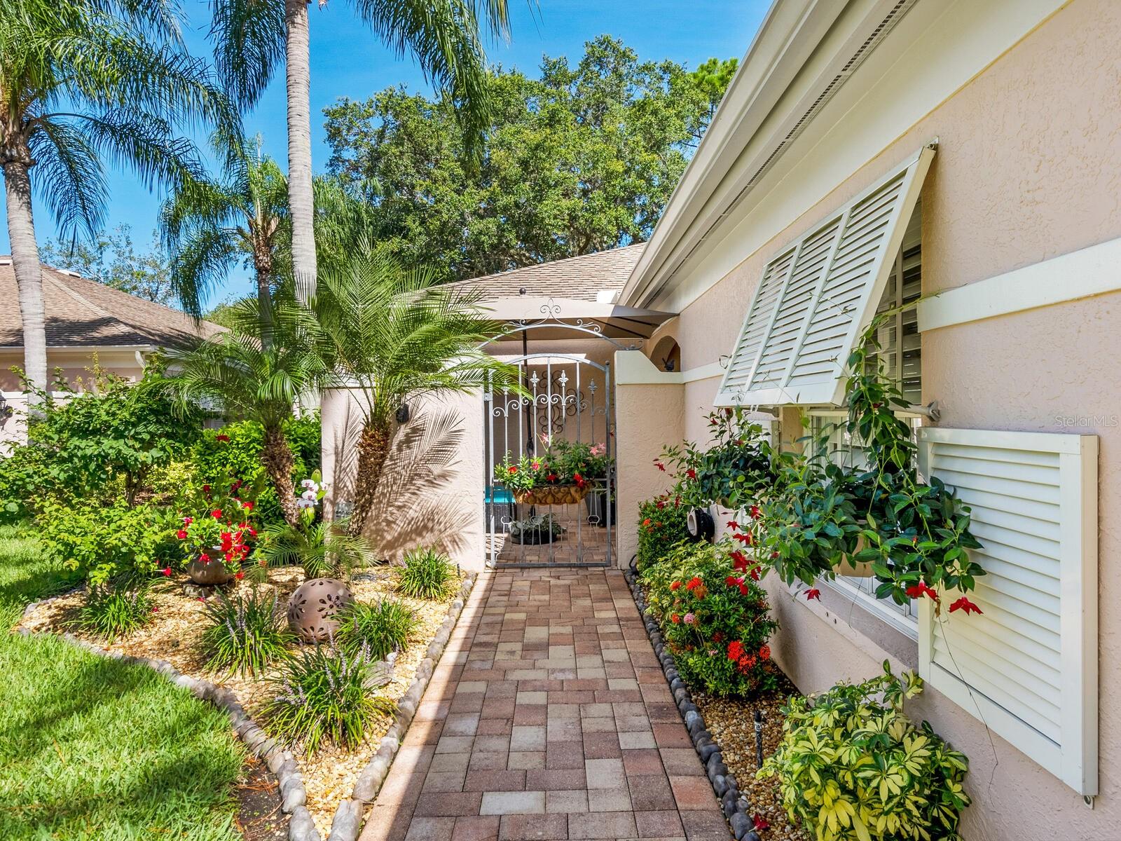 5462 CHANTECLAIRE 65