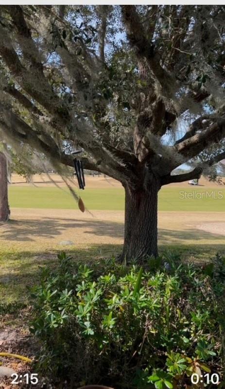 13026 SE 97TH TERRACE ROAD