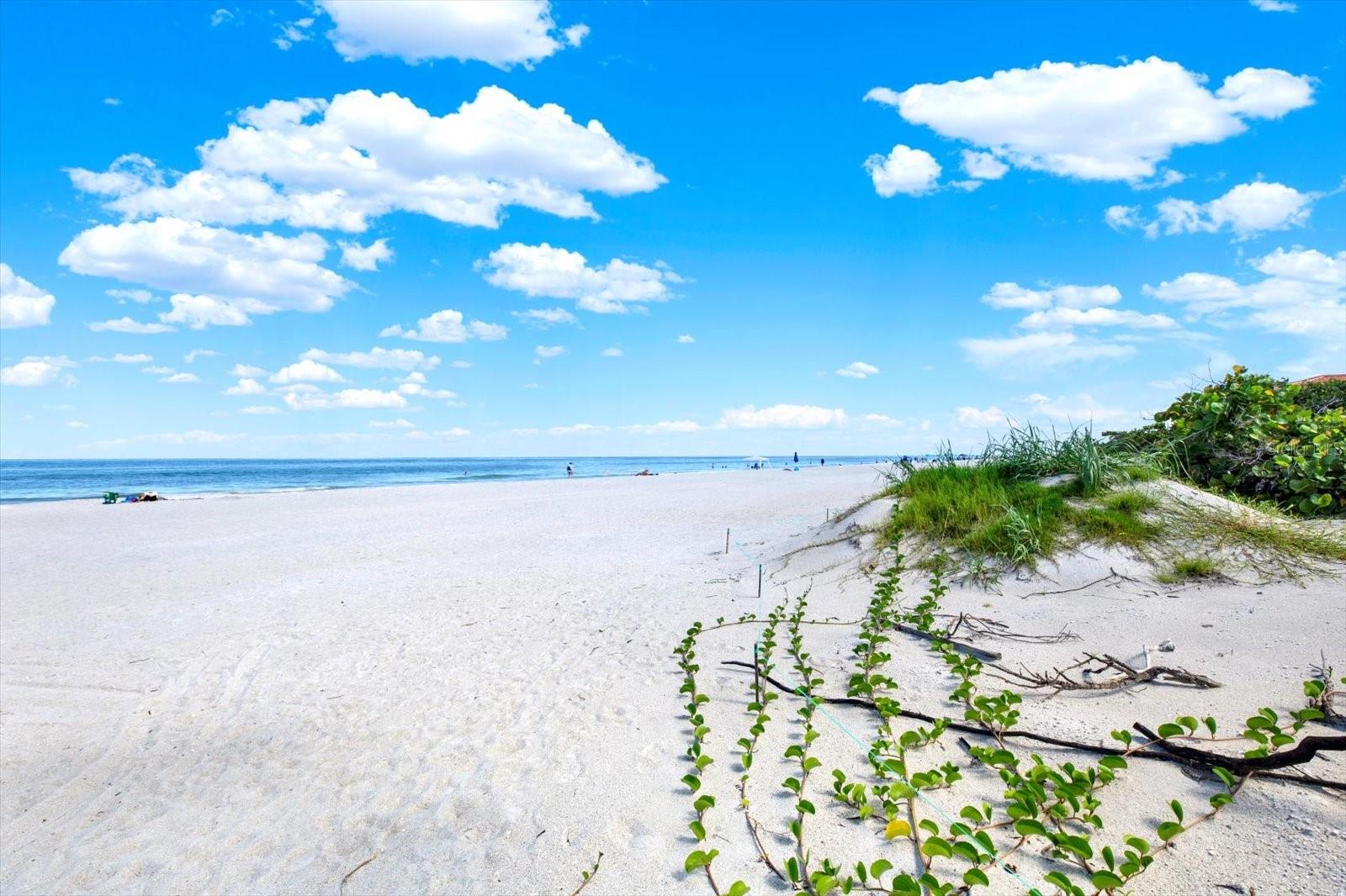 HEATHER SANDS CONDO - Residential