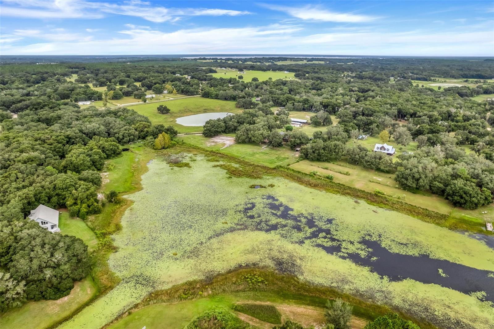 HAMMOCK POND AREA - Residential