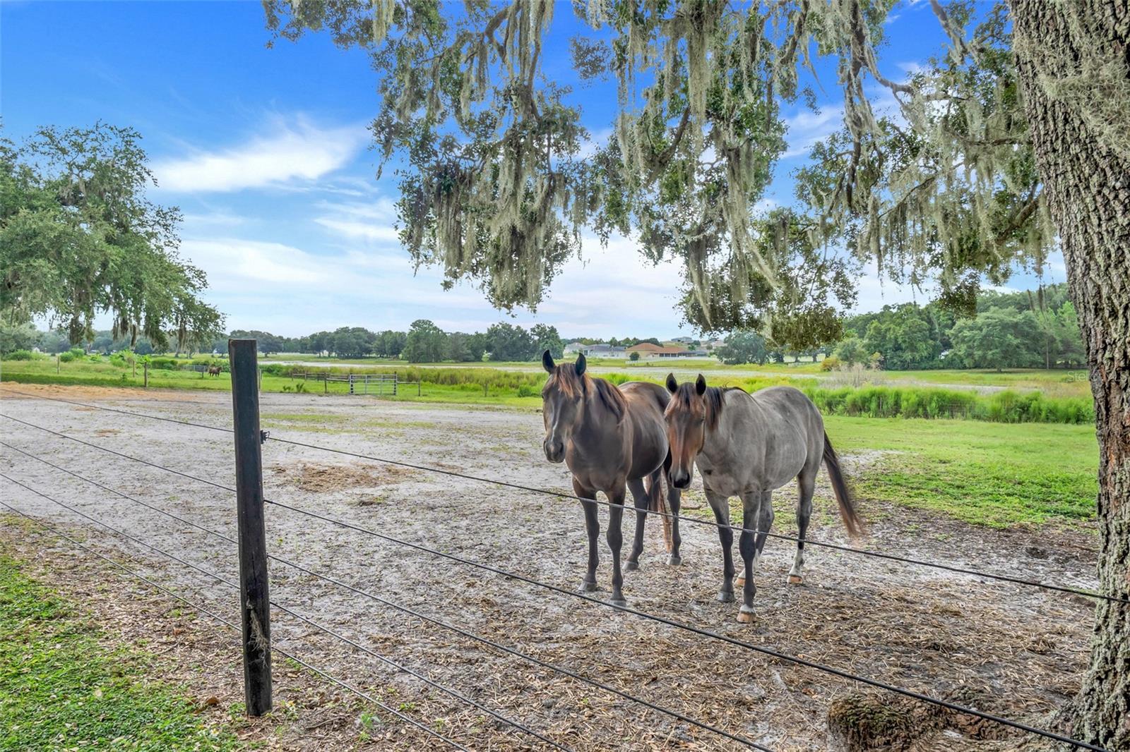 HAMMOCK POND AREA - Residential
