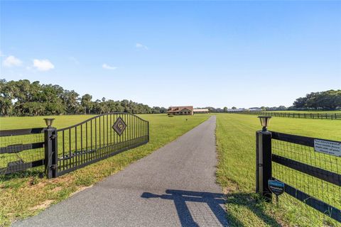 Tiny photo for 2329 NW 165th Street, Citra, FL 32113 (MLS # OM706463)