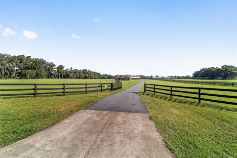 Tiny photo for 2329 NW 165th Street, Citra, FL 32113 (MLS # OM706463)