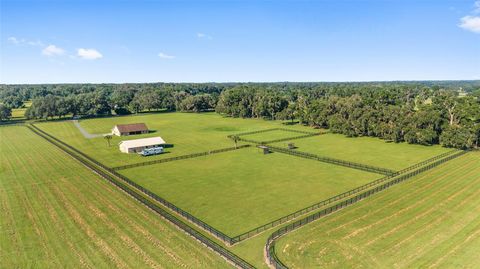 Tiny photo for 2329 NW 165th Street, Citra, FL 32113 (MLS # OM706463)