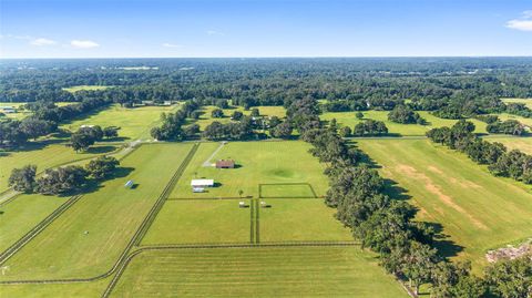 Tiny photo for 2329 NW 165th Street, Citra, FL 32113 (MLS # OM706463)