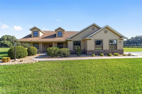 Photo of 2329 NW 165th Street, Citra, FL 32113 (MLS # OM706463)