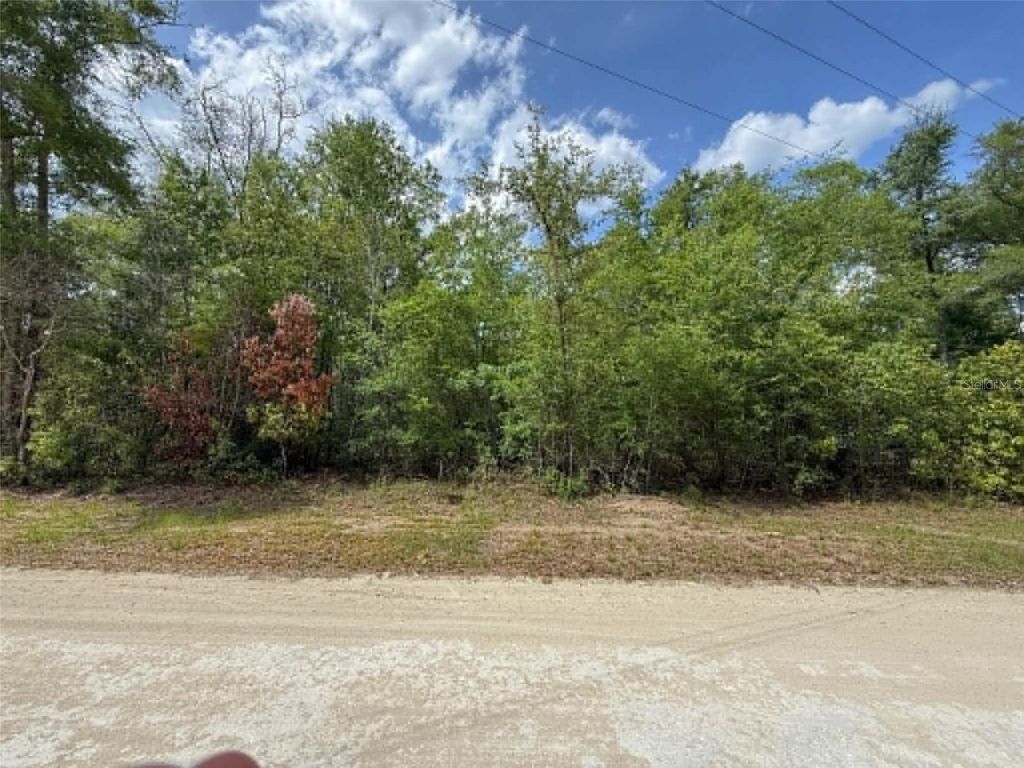 Photo of Tbd 282nd Terrace, Branford, FL 32008 (MLS # GC540165)