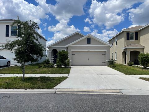 17043 OVAL RUM DRIVE WIMAUMA FL 33598