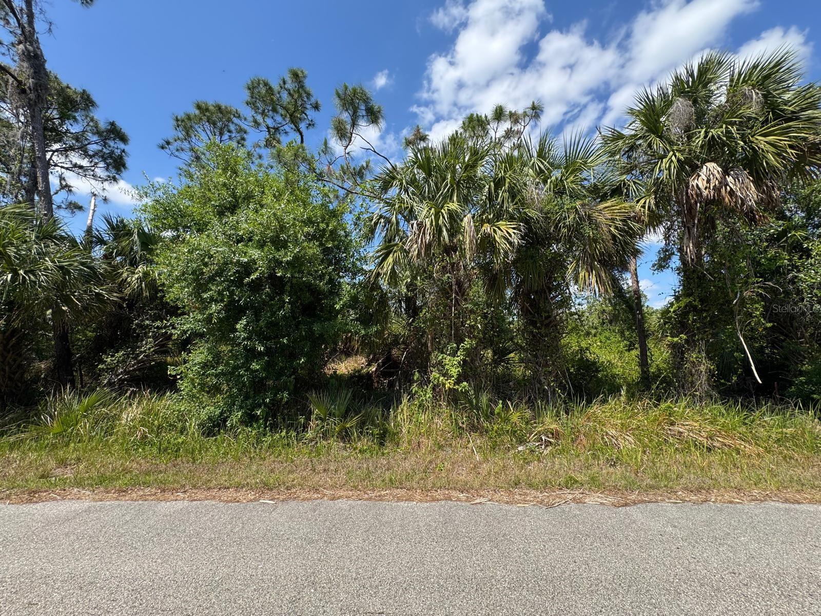 Two residential lots available on the same street—perfect for building your dream home or an excellent investment opportunity. Ask me for the other lot information. NO HOA, NO CDD.
Whether you're a homebuyer looking to design your own space or an investor planning to build on both lots, this is a rare chance to secure prime land in a growing area. Don't miss out!