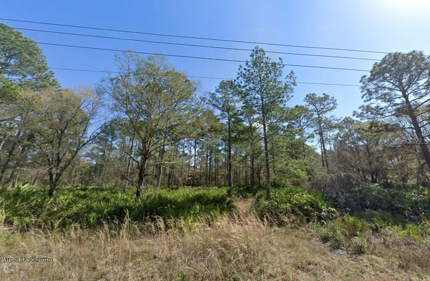 Acreage property in Flager Estates with over an acre of land available for your homestead. Majestic Slash Pines line the property making it appealing for nature lovers. There are power lines at the road to make easy access for your connection to utilities. No HOA, high and dry with no wetlands or flood zone.