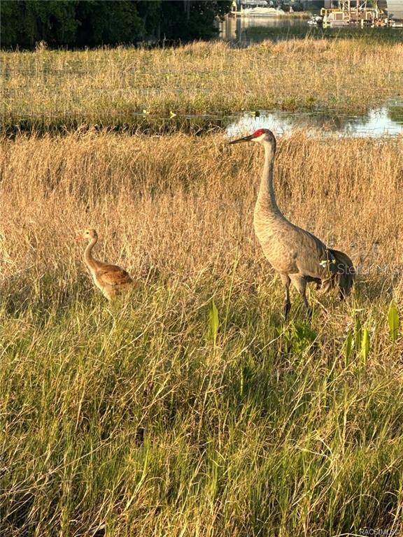 LAKE PARK - Residential