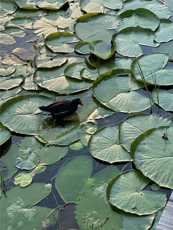 LAKE PARK - Residential