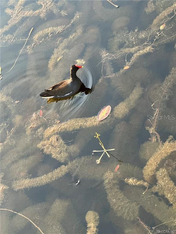 LAKE PARK - Residential