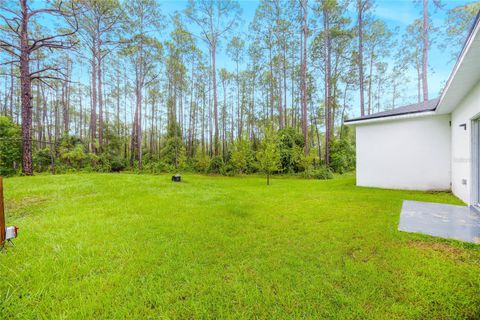 A home in DELAND