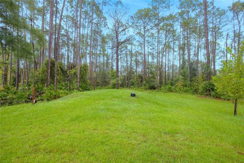 A home in DELAND