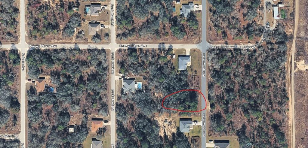 Photo of 15037 Dusky Warbler Road, Weeki Wachee, FL 34614 (MLS # TB8494100)