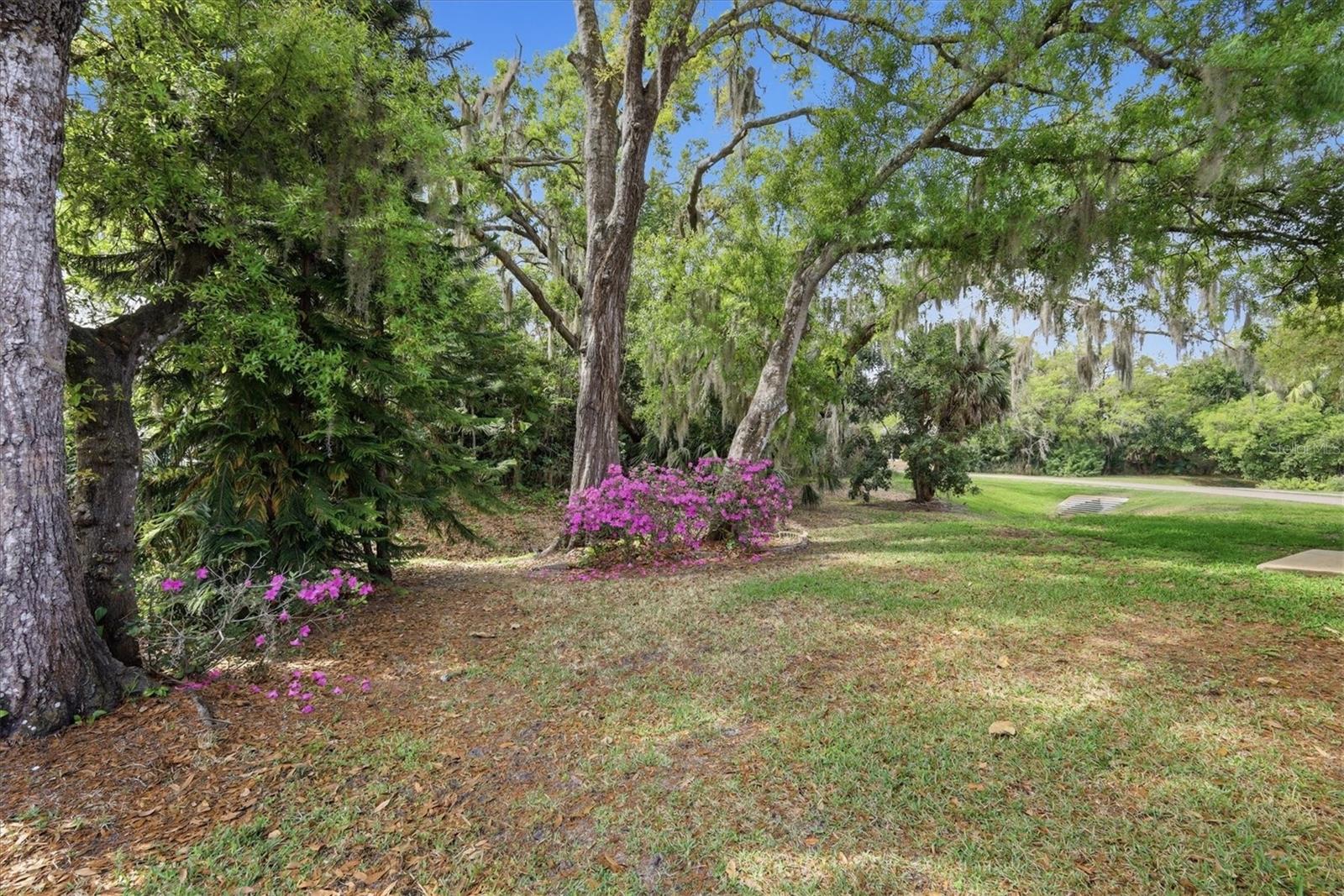 COLONIAL OAKS - Residential