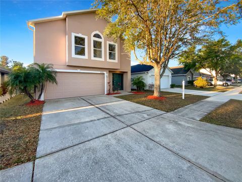 30208 RATTANA COURT WESLEY CHAPEL FL 33545
