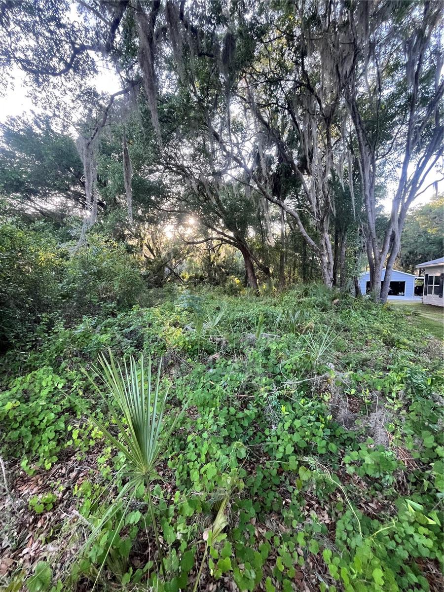 FOUR LAKES COMMUNITY - Land