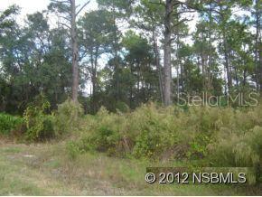 Daytona Park Estates Sec D - Land