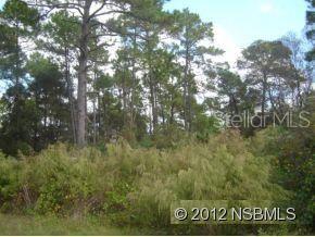 Daytona Park Estates Sec D - Land