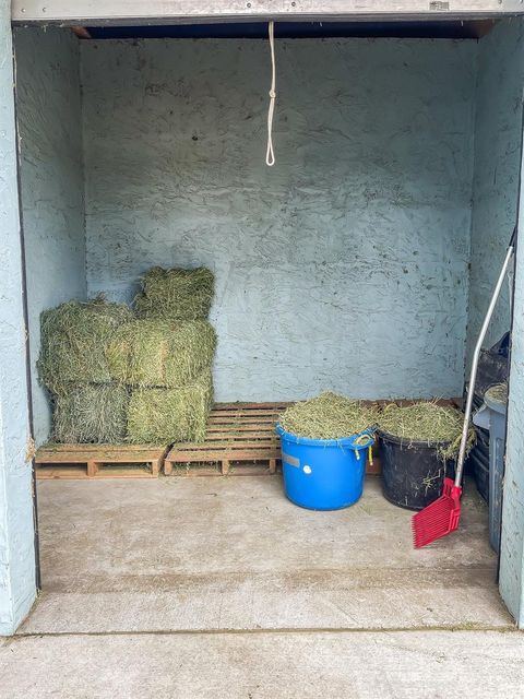 Tiny photo for 250 NE 195th Avenue, Williston, FL 32696 (MLS # OM713620)