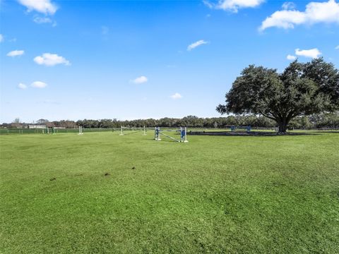 Tiny photo for 250 NE 195th Avenue, Williston, FL 32696 (MLS # OM713620)