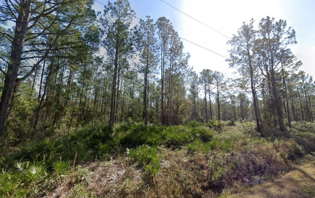 10620 BECKENGER AVENUE