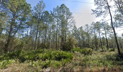 10620 BECKENGER AVENUE HASTINGS FL 32145