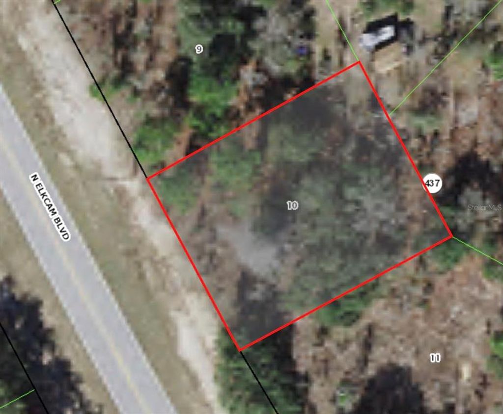 Photo of 8243 N Elkcam Boulevard, Citrus Springs, FL 34433 (MLS # A4546381)