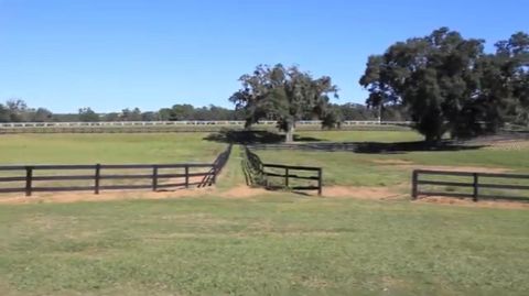 Tiny photo for 9400 NW 160th Street, Reddick, FL 32686 (MLS # O6364015)