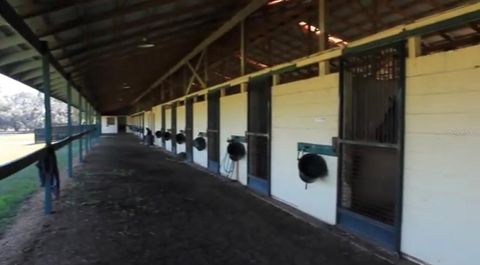 Tiny photo for 9400 NW 160th Street, Reddick, FL 32686 (MLS # O6364015)