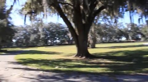 Tiny photo for 9400 NW 160th Street, Reddick, FL 32686 (MLS # O6364015)