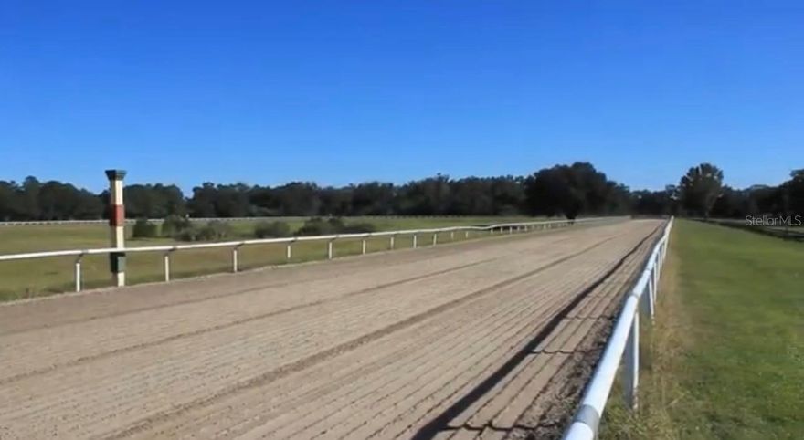 Rare opportunity to own a a large 86.7 acre equestrian property, located in NW Marion county, close to the famous 225A in the heart of horse country. Minutes to I-75, WEC, and Hits. Corner lot has magnificent grandaddy oaks providing excellent shade. Currently used for thoroughbred breeding and training, the farm boasts a premier irrigated 5/8 track and starting gate, a 16 stall Concrete block center isle mare barn, a 30 12x12 stall CB training barn with 1 bedroom, 1 bath apartment, office and tack rooms.a third 32 stall CB training barn with 3 tack rooms. 78 Stalls Total. Large European horse walker, 3 round pens, 16 paddocks, 4 Wells, all underground power, high speed fiber internet. All paved roads throughout the farm. 30x40 shop provides ample storage for all the maintenance equipment. The 2100 sq ft pool home sits at the far end of the farm for privacy and has 3 bedrooms 3 full bathrooms, vaulted ceilings, brick fireplace, large kitchen with double ovens, built in induction cooktop. The large master suite includes private master bath with large tub, double sinks and separate shower. Very private large heated inground pool and wooded backyard.