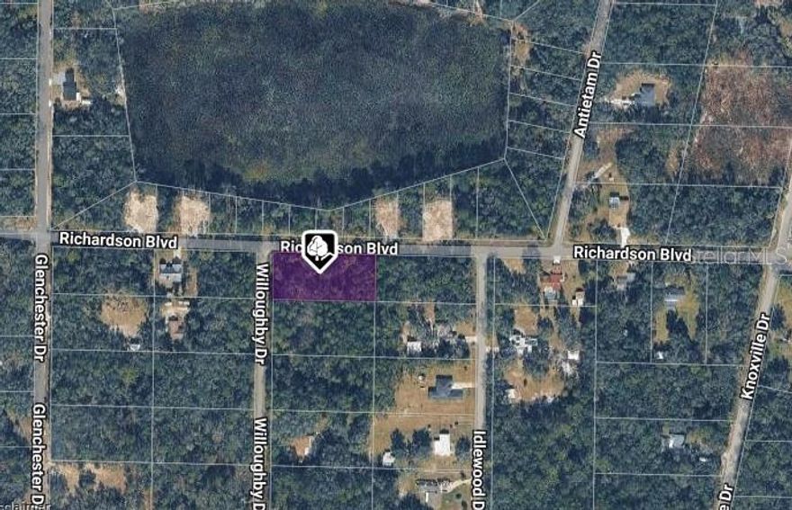 Wooded corner residential lot just under 1 acre (0.98) located in a quiet country setting in Webster, FL. Zoned for single-family homes, this spacious parcel offers an excellent opportunity to build your custom dream home with added privacy. Paved road access and convenient location just minutes to shopping, restaurants, and medical facilities. Easy commute with quick access to US-301, SR-50, and I-75, making travel to Tampa, Orlando, and Ocala simple. Ideal for homeowners, builders, or investors seeking space, privacy, and accessibility.