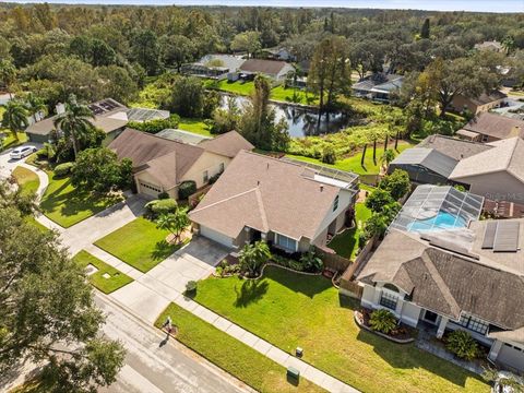 A home in TAMPA