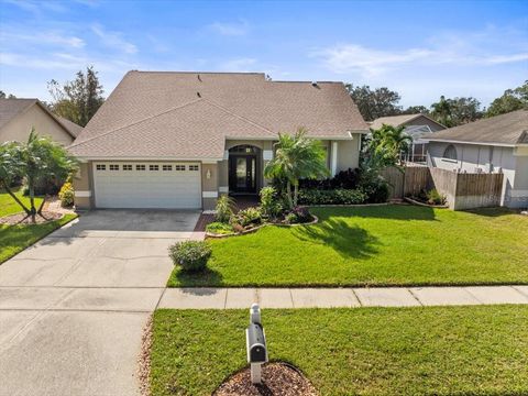 A home in TAMPA