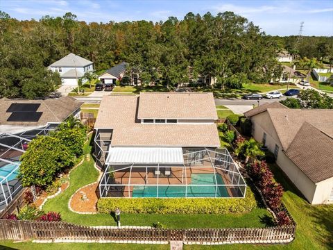 A home in TAMPA