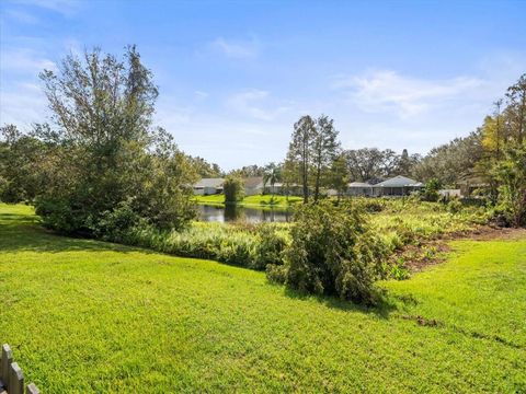 A home in TAMPA