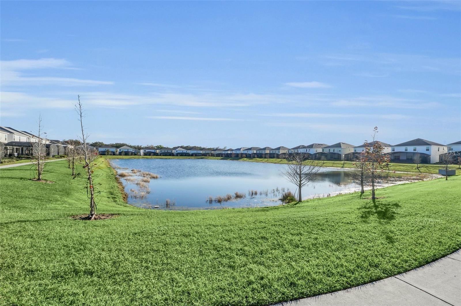 BELLAVIDA RESORT - Residential