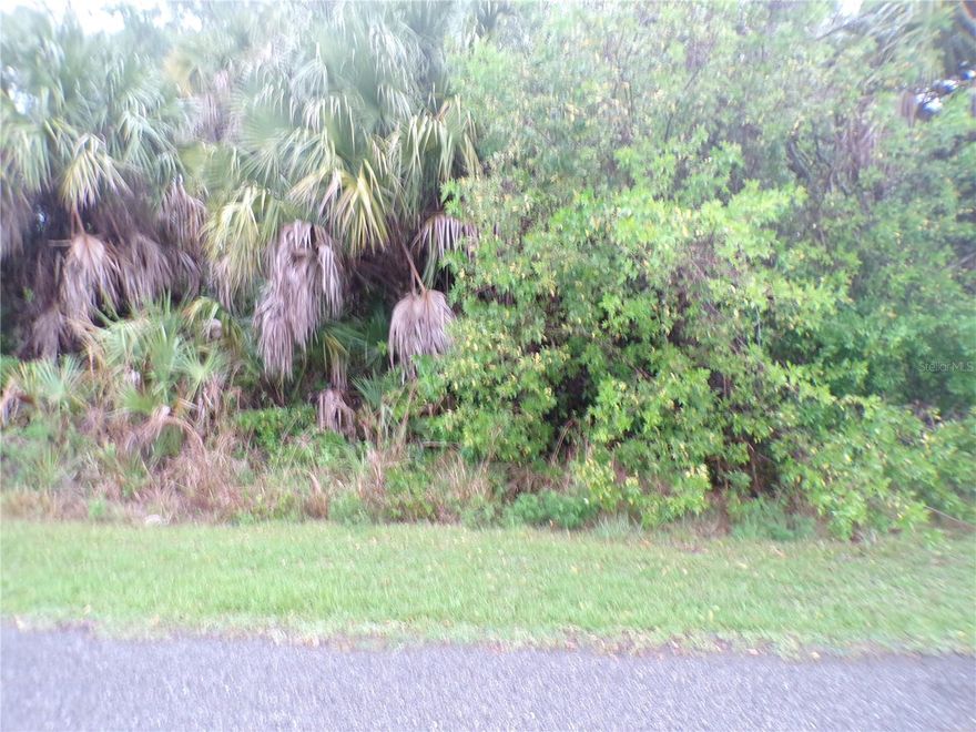 This lot is in the highly desired flood zone X, it is on a quiet street, that would be a great place to build your dream home and retire or raise your family. Less than 5 miles to I75 makes this location an easy commute to almost anywhere, and only 20 miles to Venice Pier and Beach with amazing sunsets, 2 miles to Cocoplum Village Shops with lots of shopping and dining options. Atlanta Braves spring training and the fairgrounds are just minutes away, also multiple golf courses and some of the best boating and fishing in all of Florida. Red Soxs, Orioles, Twins and Rays spring training all within an hour’s drive. Buyer and buyers’ reps are responsible for determining environmental conditions and endangered species restrictions. This lot is priced to sell so please call for availability! This lot is at a great price point for the investor call today.