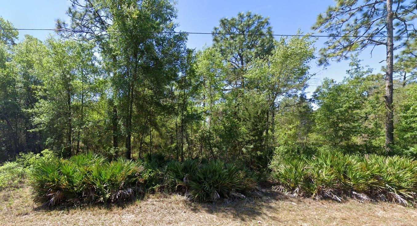 Four Vacant Lots Near Homosassa Springs, Florida. Build your Slice of Paradise! Looking for space to build your dream home, invest in land or create a peaceful getaway? These four vacant lots are available just minutes from Homosassa Springs a nature lover's paradise known for its crystal-clear springs, Manatee sightings and Old Florida charm. Build a single-family home, hold as an investment or create a season retreat. Wooded lots with a quiet, rural feel while still being close to town conveniences. Easy access to US 19, Shopping, Dining and Medical Services. Minutes from boat ramps, fishing, kayaking, hiking trails and the Gulf of America. Peaceful surroundings with room to spread out. Close to the Homosassa Springs Wildlife State Park and Chassahowitzka National Wildlife Refuge. NO HOA fees. This is a rare chance to own Multiple Lots in one of Florida's most beautiful areas.
