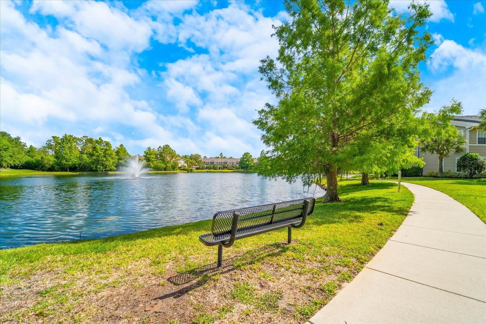 THE VILLAGE AT TOWNPARK - Residential