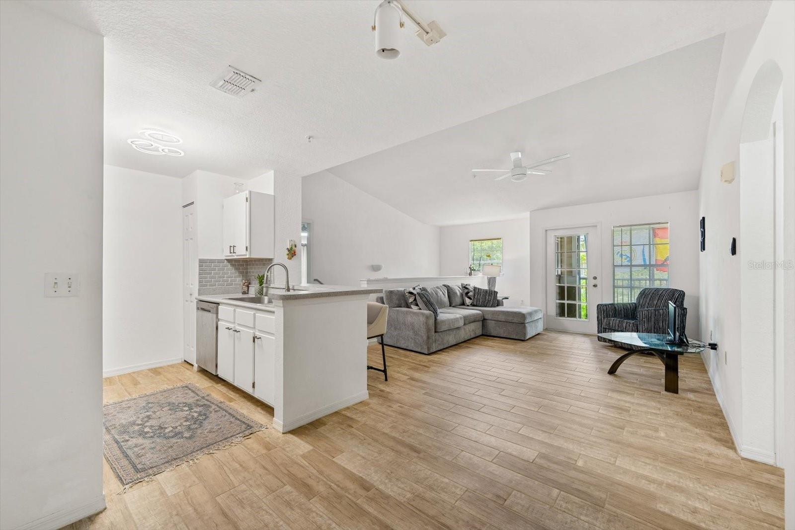 THE VILLAGE AT TOWNPARK - Residential