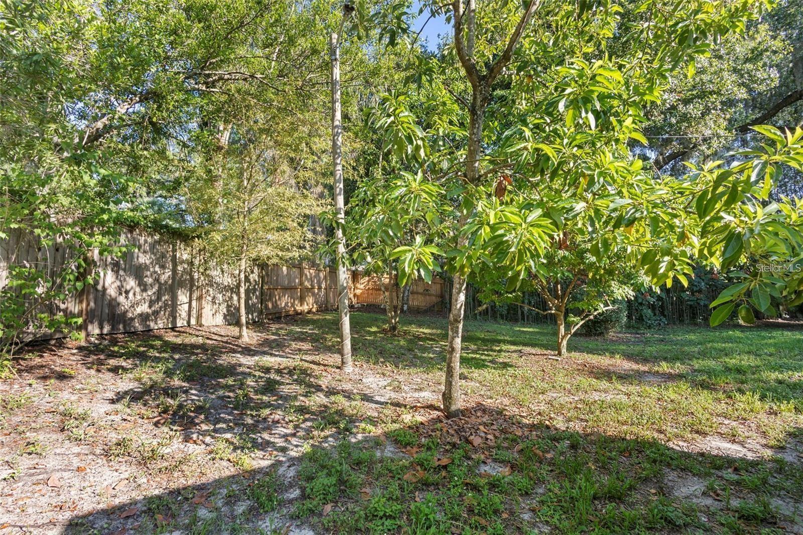 PINE HILLS BLKS 81-82 100 & 101 DELAND - Residential Lease